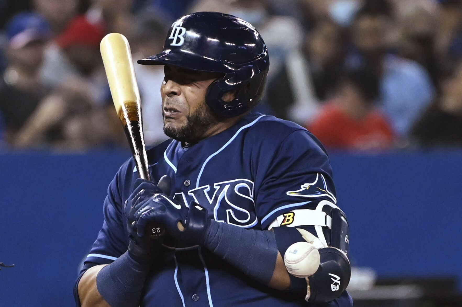 APTOPIX Rays Blue Jays Baseball